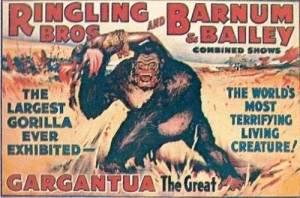 p-12-and-p-113a 1938 – Ringling Bros. and Barnum & Bailey; Gargantua the Great