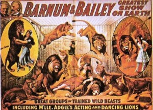 p-132a 1915 – Barnum & Bailey; Great Groups of Trained Wild Beasts