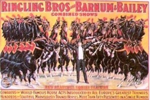 p-26a Ringling Bros. and Barnum & Bailey; Congress of World Famous Horse Acts