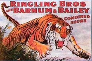p-27a Ringling Bros. and Barnum & Bailey; Leaping Tiger