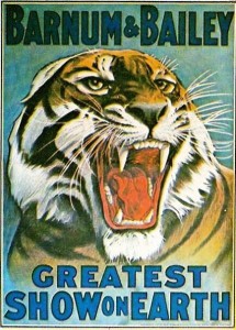 rbbbtiger-and-p-4-and-p-146