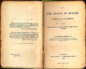 751px-origin_of_species-1859 1859 edition of "Origin of the Species"