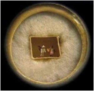 dressed-fleas Dressed fleas from the Tring Museum.