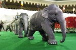 elephants-walking-to-big-top-3 Elephants on the march to the big top.