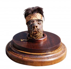 museum-quality-head One of three museum-quality heads, this one a shrunken head from the tribes of South America.