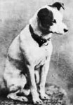 The only know photograph of the original Nipper, in that famous pose.