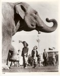 cbcb publicity This classic publicity image was used by Clyde Beatty Cole Bros. Circus for many years.