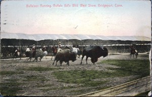 BB Postcard 3 This Buffalo Bill Wild West postcard shows buffalo in the open air arena.