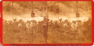 cooperbailey2 Both show the interior of the menagerie tent in 1876-77. Each of these stereo cards is valued at $400-$500. The one with the giraffe is most valuable.