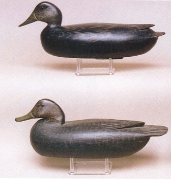 photo1delawareriver These are two Delaware River black duck decoys, the upper one by Dan English, and the lower one by Tom Fitzpatrick. In 2001 the English decoy realized $1,500 and the Fitzpatrick decoy realized $1,600 at a Guyette and Schmidt auction. Photo courtesy of Guyette and Schmidt.
