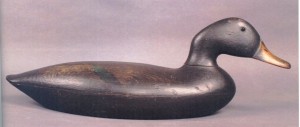 photo2delawareriver This black duck decoy is by John Blair, Sr. This decoy has the long lean look of the senior Blair and is typical of the Blair school. Photo courtesy of Guyette and Schmidt.