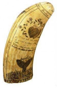 scrimshaw side 1 One side of a scrimshawed whale tooth from the whaling ship “Superior.”