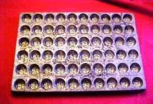 cherries This block mold makes 60 one-sided cherries.