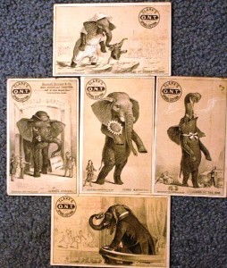 jumbotradeards Many advertisers took advantage of the Jumbo craze and used his image in their trade cards. This set above shows five trade cards advertising Clark O.N.T. Cotton Thread. Jumbo trade cards are available for as little as $5-$10.