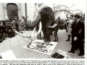 kingtusk The kit contained media releases and this photo of King Tusk who was on hand for the first day dedication to give his stamp of approval. Ringmaster Jim Ragona presided over the dedication ceremonies. The kit with its contents is valued at $10-$15.