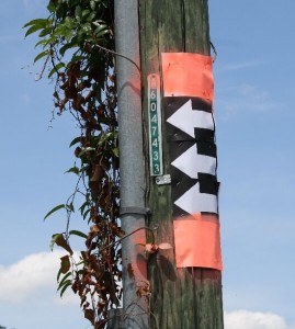 arrows2 The second set tells the drivers to turn here to enter the circus lot.