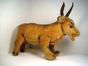 Texas longhorn