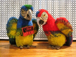 parrots