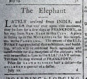 Elephant ad