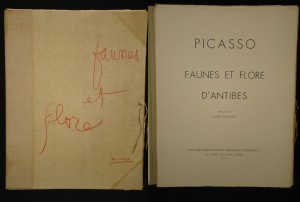 Picasso lithos
