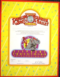 elepahant certificate