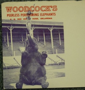 woodcock