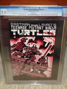 TMNT 1
