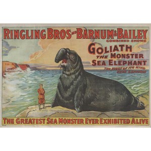 Goliath poster