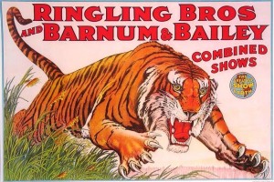 tiger poster