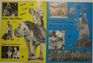 Circus Williams Inside