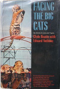 Facing Big Cats