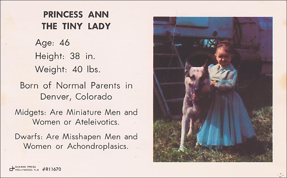 ann
