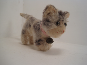 tabby