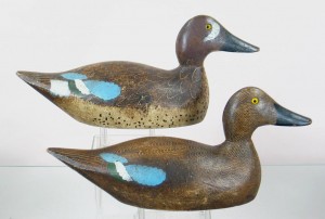 Evans teal