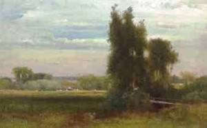 Evening Landscape