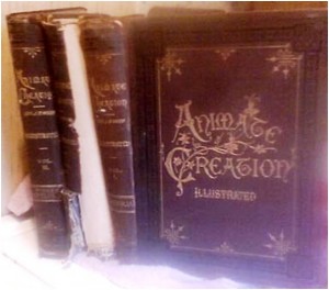 decrepit books