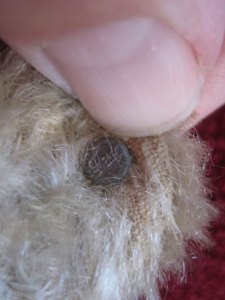 4mm buttom
