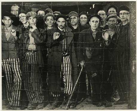 The Living Dead at Buchenwald