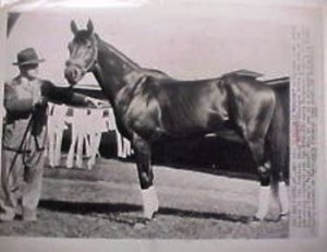 1948 Wire Photo- Citation
