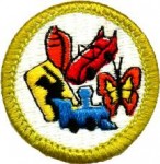 collections merit badge