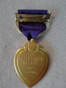 slot brooch purple heart
