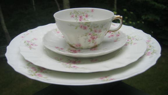 Limoges Haviland