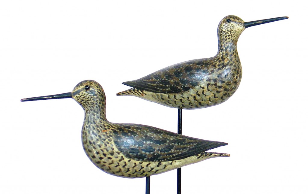 Cromwell dowitchers
