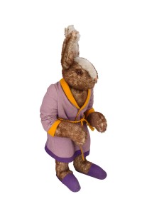 Rabbit from Display