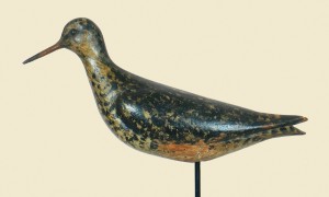 Bowman yellowlegs