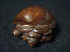 Mushroom 1