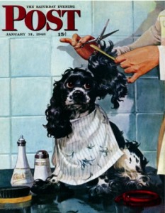 butch's haircut