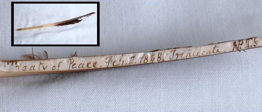 quill close-up