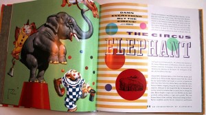 Elephants Circus
