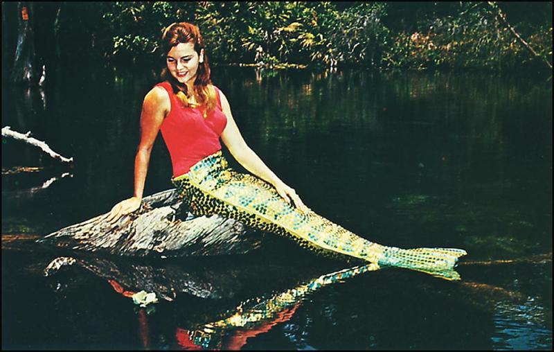mermaid